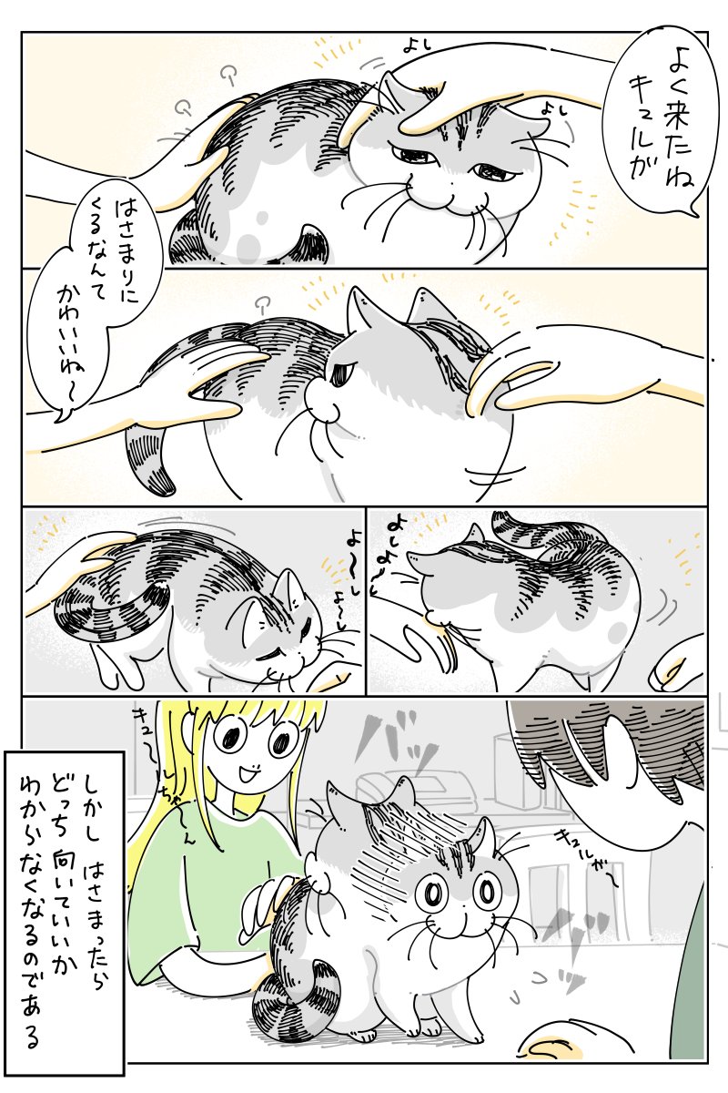 包囲されるネコ
nekonavi.jp/catblog/archiv…