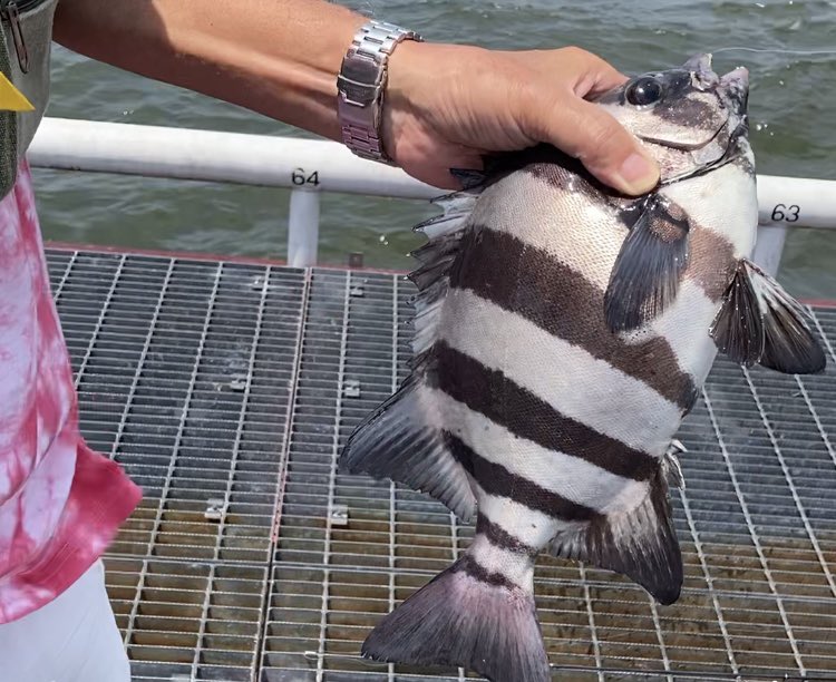 尼崎市立魚つり公園 on X
