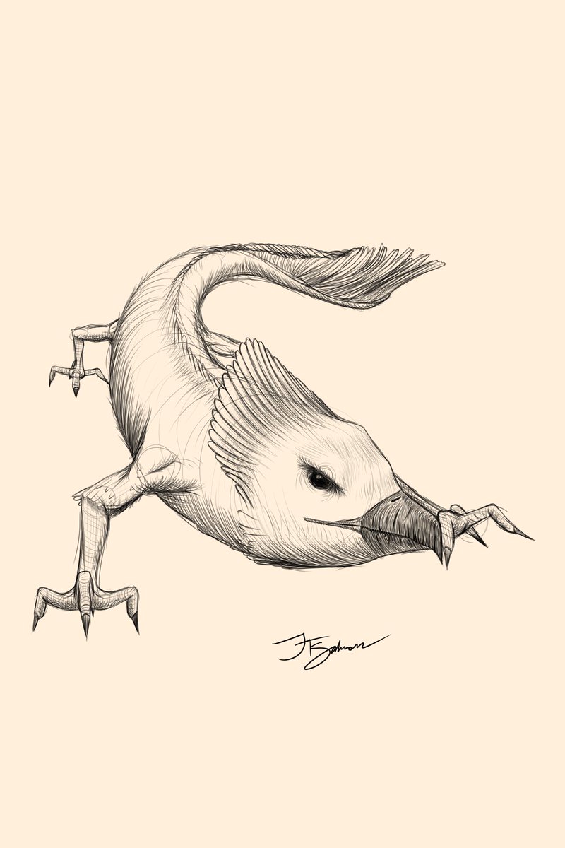 jt_salmon's tweet image. Craalnax: fearsome creatures that dwell in the northern reaches of Permius. Measuring at 5m in length, they prey off of larger creatures like horses, cattle, deer... weary travellers...

#conceptart #IndieAuthor #sketches