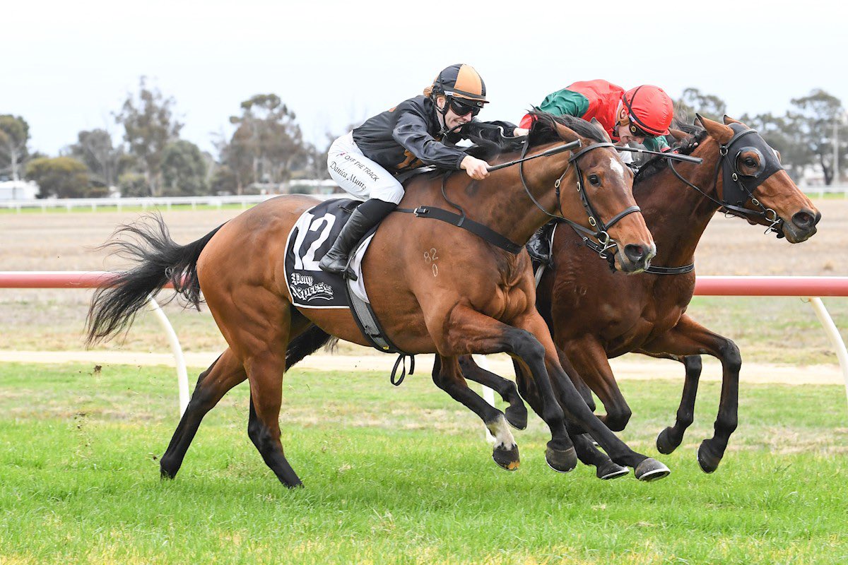 Liam Howley Racing (@howleyracing) on Twitter photo A tight but powerful win for Usk Valley today. Fantastic to get our first win in the Wentwood Grange silks <a href="/LeighHawkins00/">Wentwood Grange</a> who have been great supporters of the stable! We have limited shares remaining in her 2yo full brother. Head to our website for information A tight but powerful win for Usk Valley today. Fantastic to get our first win in the Wentwood Grange silks <a href="/LeighHawkins00/">Wentwood Grange</a> who have been great supporters of the stable! We have limited shares remaining in her 2yo full brother. Head to our website for information