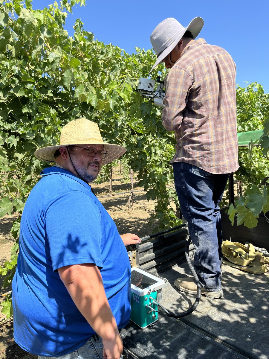 George Zhuang (@zhuanggeorge) on Twitter photo We are busy in the 🍇 field taking data, such as ☀️, 🌡️, 💦stress, 🍃nutrients, 🍃gas exchange, and drone flight. We collect as much data as possible before our July 23rd #rootstock field day <a href="/ucanr/">Ag&Natural Resources</a> West Side REC. Please register here surveys.ucanr.edu/survey.cfm?sur… <a href="/UCRCNAS/">UC Riverside CNAS</a> We are busy in the 🍇 field taking data, such as ☀️, 🌡️, 💦stress, 🍃nutrients, 🍃gas exchange, and drone flight. We collect as much data as possible before our July 23rd #rootstock field day <a href="/ucanr/">Ag&Natural Resources</a> West Side REC. Please register here surveys.ucanr.edu/survey.cfm?sur… <a href="/UCRCNAS/">UC Riverside CNAS</a>