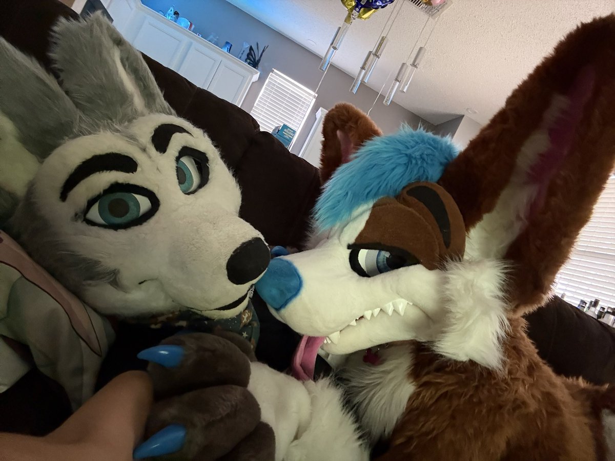 I have to tell y’all that <a href="/_bodieblue/">Bodie !</a> is the absolute BEST at cuddling with☺️👉🏻👈🏻 

She ain’t nothing but a sweetheart and her cuddles are SO addictive!🥰💙💙💙