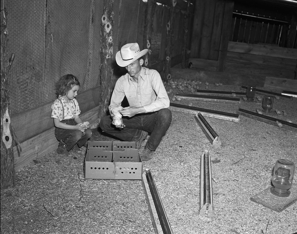 Traces of Texas tweet media