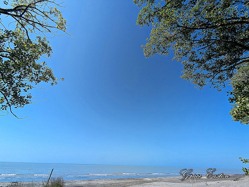 GraceOnFire2's tweet image. "I grew up with the smell of the lake and the feeling of the woods." - Steven Tyler" #photography #photographyOnX #LakeErie #lakelife #summer