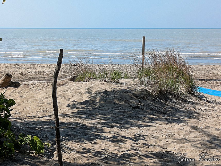 GraceOnFire2's tweet image. "I grew up with the smell of the lake and the feeling of the woods." - Steven Tyler" #photography #photographyOnX #LakeErie #lakelife #summer