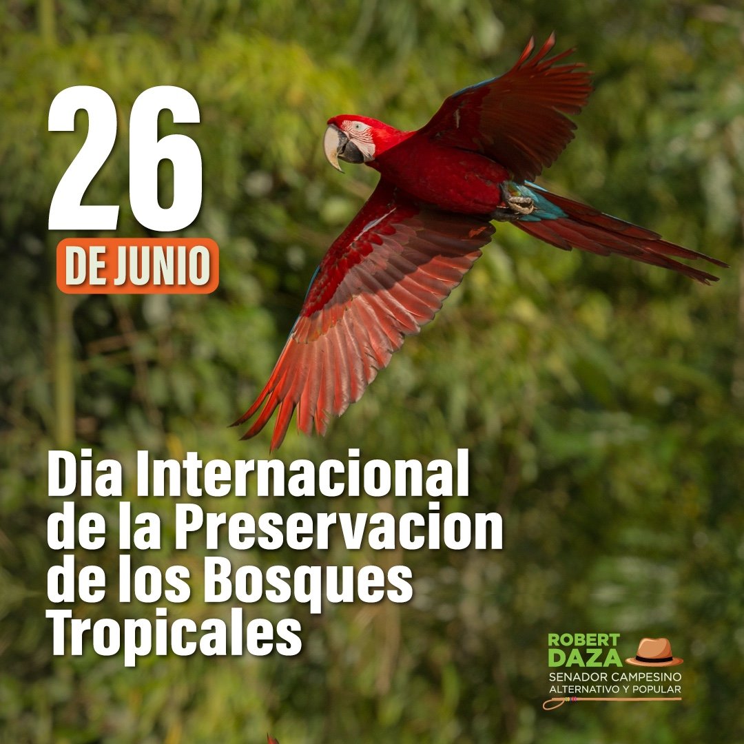 🌳Los bosques tropicales, también conocidos como selvas, son los ecosistemas terrestres más biodiversos del planeta, con más del 50% de todas las especies de microorganismos, hongos, plantas y animales.