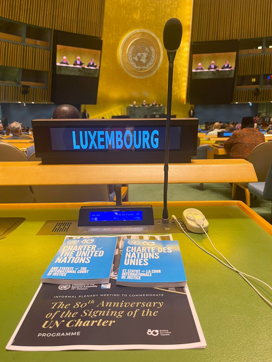 Today, the peoples of Ukraine, Israel and Palestine, the Sahel, Sudan, Myanmar or Afghanistan are wondering why the promise of the #UNCharter is not kept

We must redouble our efforts to fulfill the promise of the Charter by acting in accordance with its purposes &amp; principles