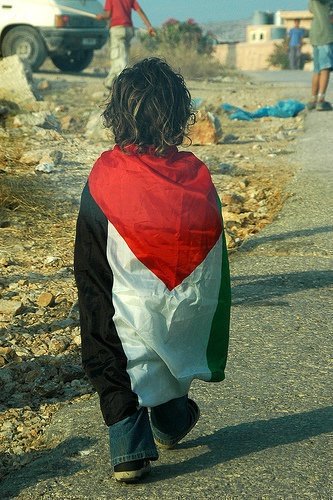 No dejemos de hablar de Palestina.
#PalestinaLibre