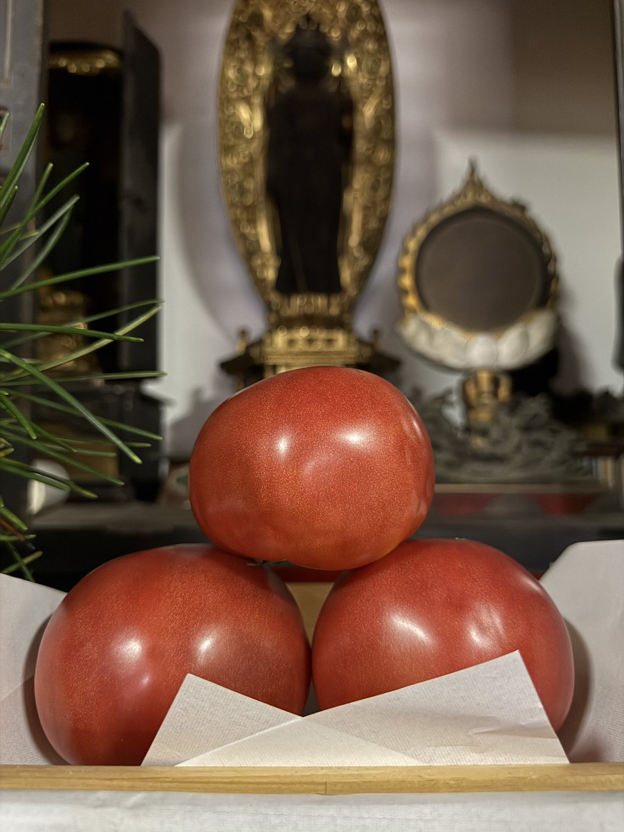 桃太郎というめちゃくちゃデカくて匂いの良いトマトを頂きました！
お供えてさせて頂いて、後ほど頂きます♪