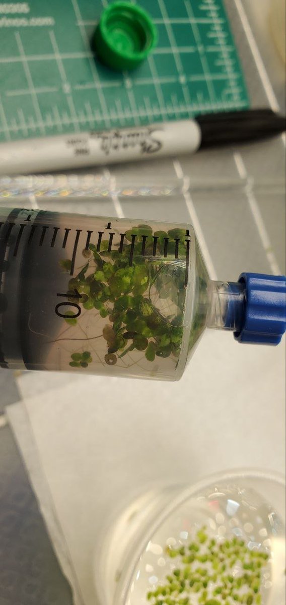 Sebastian S. Cocioba🪄🌷 tweet media