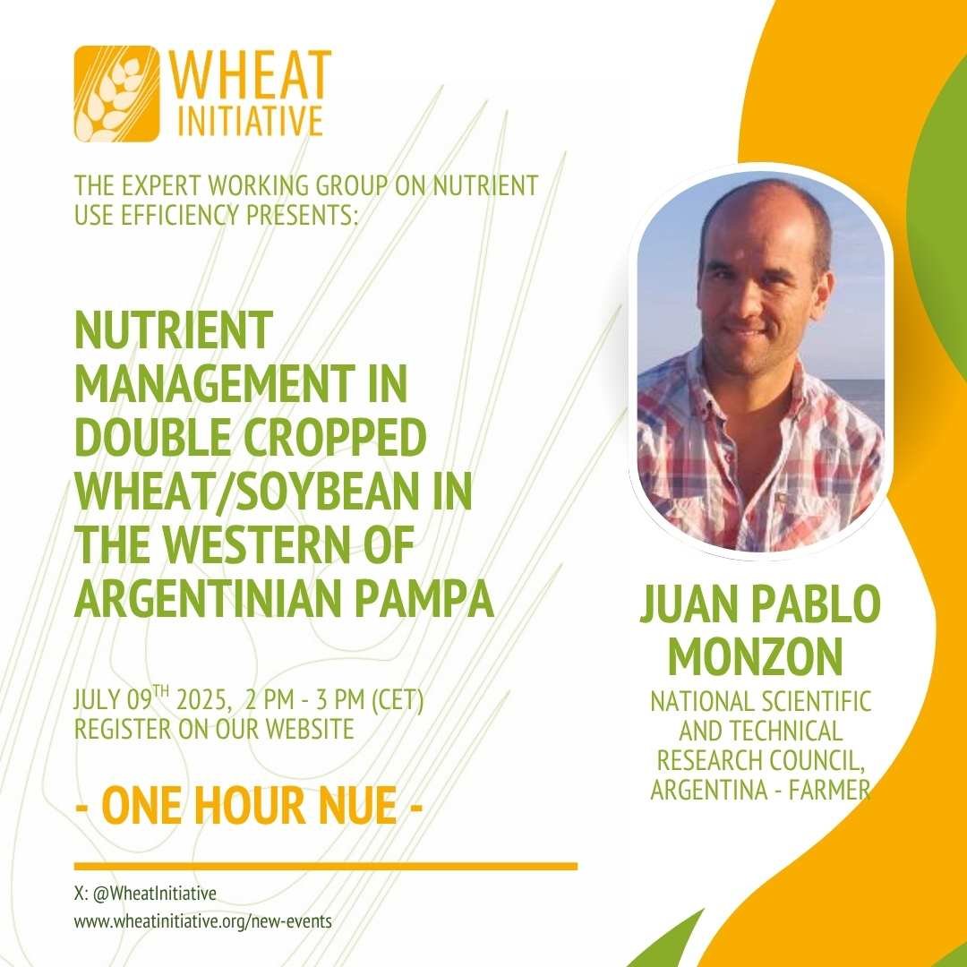 Our Expert Working Group on Nutrient Use Efficiency in Wheat have organised a new webinar! 🗓️ July 9, 2025 🕐 13–14 CET 📍 Dr. Juan Pablo Monzon (CONICET): Nutrient management in double-cropped wheat/soybean in western Argentinian Pampa Register here: wheatinitiative.org/new-events/-on…