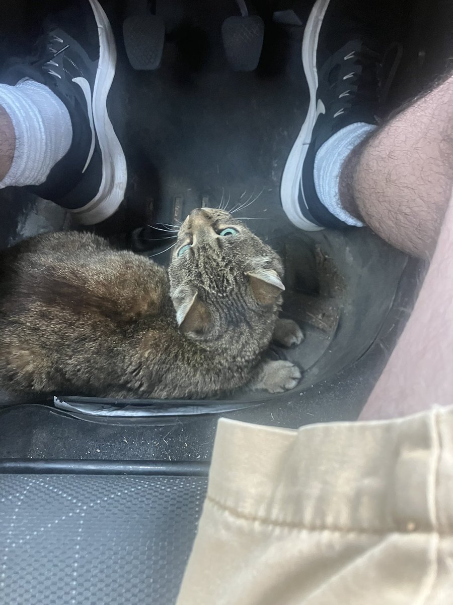 ok i’m do the Clutch and your shit the Gears