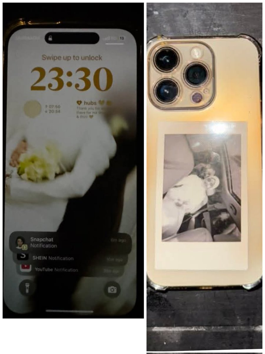 MV Lost & Found tweet media