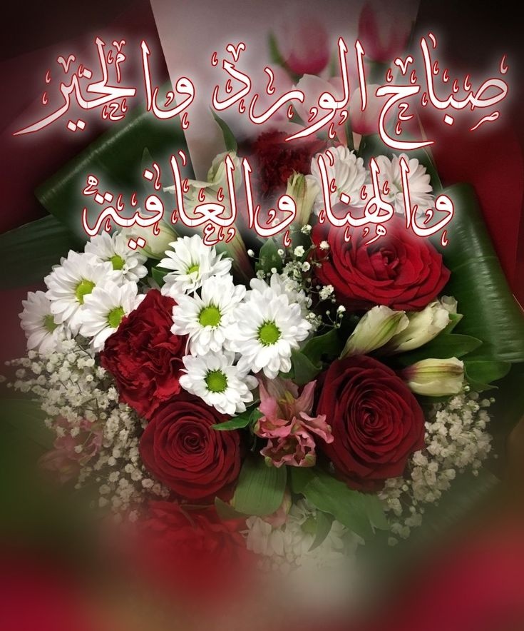 صباح السعادة و صباح الإبتسامة الحلوة😊😊😊😁🤗🤗🤩🤩🤩🤩💚💚💚💚👍🏻💚👌

#صباح_الخير 
#صباح_الخير_والسعاده_للجميع 
#صباح_الخير_والسعاده