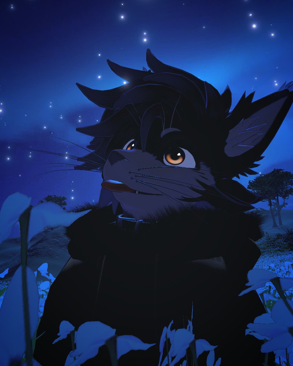 Pedrix 🦋 tweet media