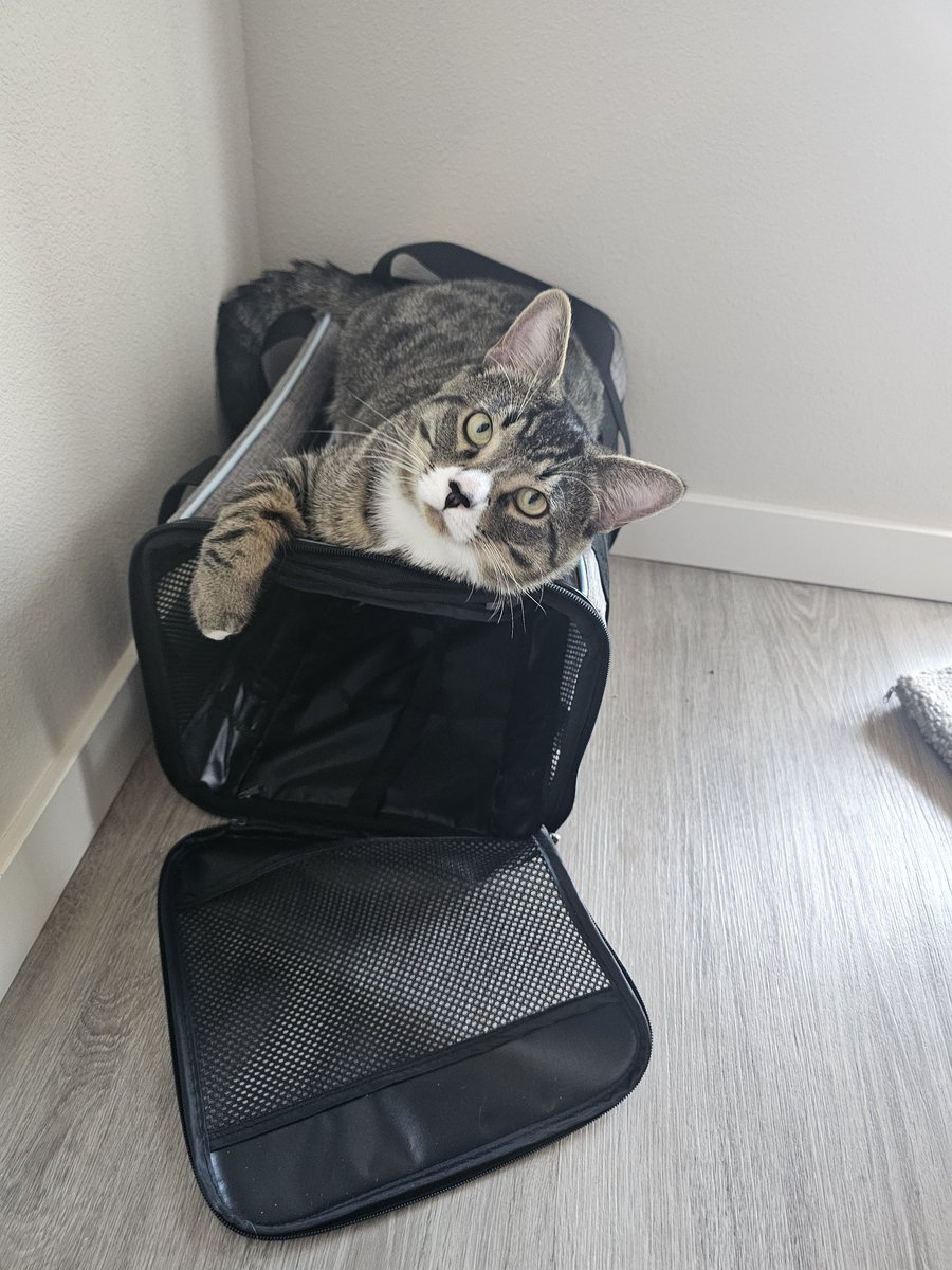 25 years of age today! Grateful to see another year 🙏