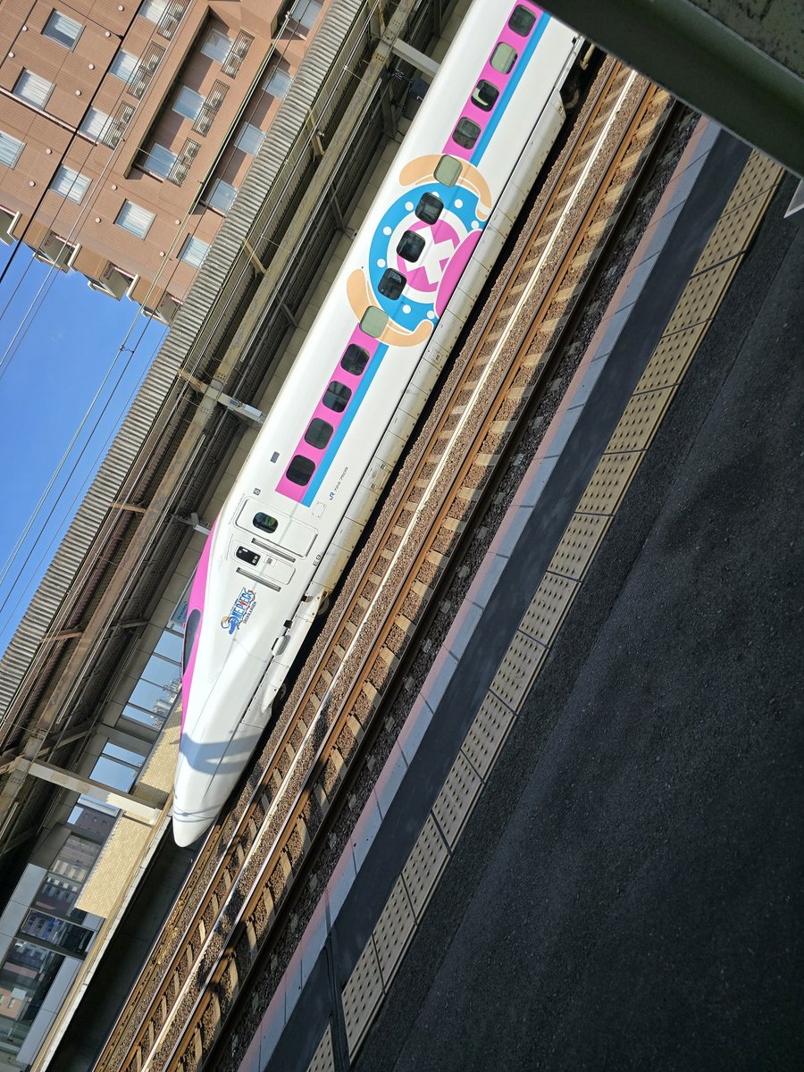 いざ！！
まってたらチョッパー号通った～( *´艸｀)