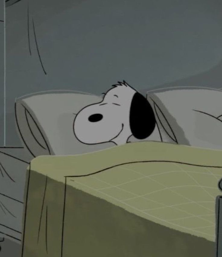 snoopy lover tweet media