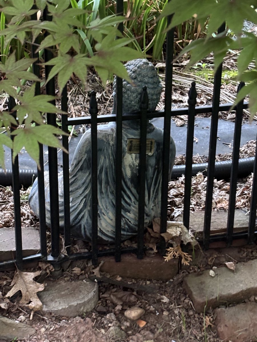 TerrenceBrownJ4's tweet image. Talking With the Dead ONX: β It is Not About Communicating With the Dead that Matters Most to Me as it is More About The Dead Communicating With the Living. The Ability to Speak to my Loved Ones When Im Dead is What Truly Matters More to Me.β Mystic -1 . πππ