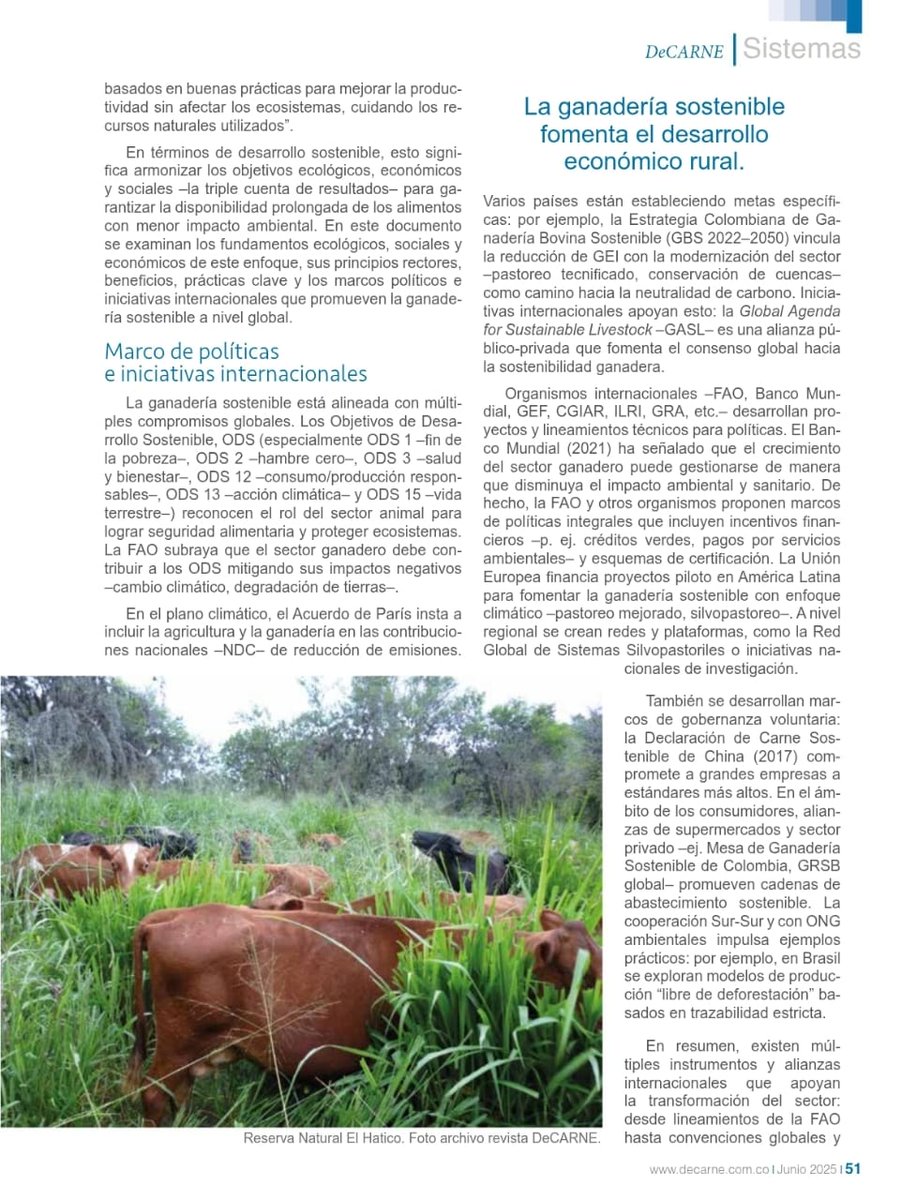 Hacienda El Pajuil - Ganadería Regenerativa tweet media