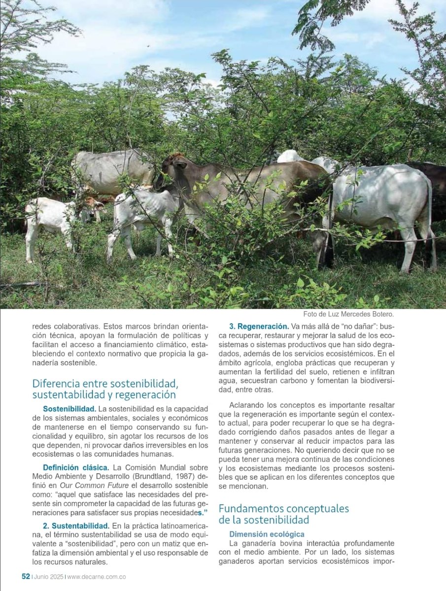 Hacienda El Pajuil - Ganadería Regenerativa tweet media