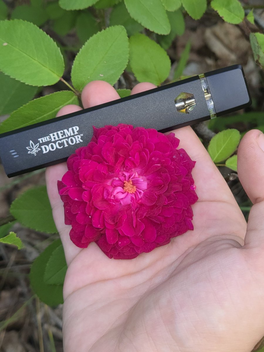 sage⚘️🪷 (@trashpanda19xx) on Twitter photo Looks like I've caught <a href="/TheHempDrCBD/">TheHempDoctor_CBD</a> out in the wild!
Cheers #StonerFam and #stonerbabes of #Mmemberville Looks like I've caught <a href="/TheHempDrCBD/">TheHempDoctor_CBD</a> out in the wild!
Cheers #StonerFam and #stonerbabes of #Mmemberville