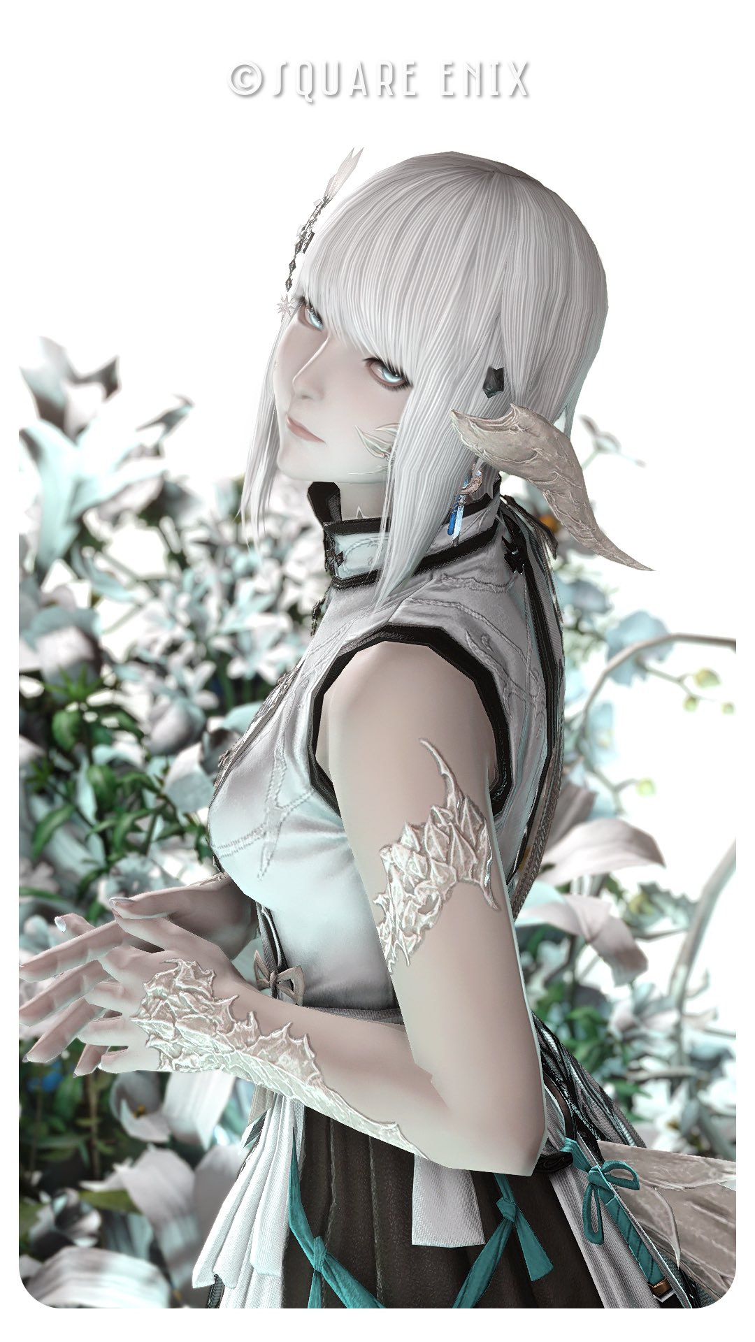 フィン  様  ♡anemone♡gray Anne🕊 (@oimo1209) / X