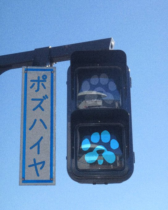 PAWS_AR's tweet photo. ポーズ・ハイヤー https://t.co/aLZaS5hNSI