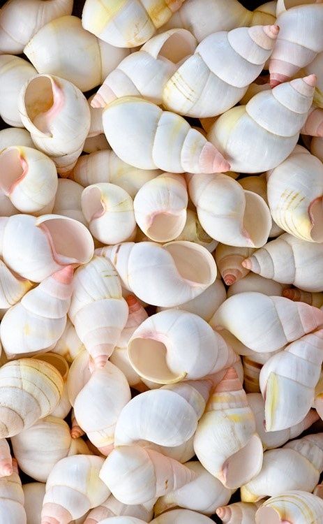 바람부는 날 (@wendyday90) on Twitter photo 