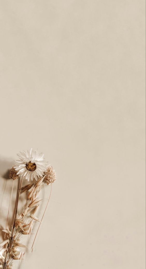 사주영 (@sjmnewf0b0ms02) on Twitter photo 