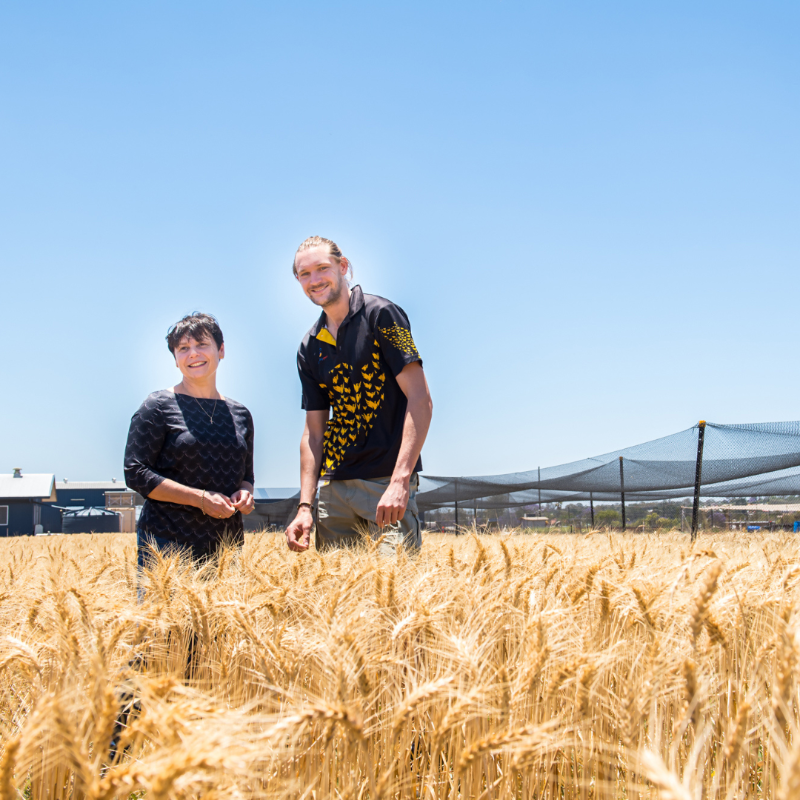 unisqaus's tweet photo. We're aiming to accelerate Australia’s transition to net-zero...

By turning dairy waste and duckweed into sustainable biofuels! ♻️

@bkvmccabe l @caeusq