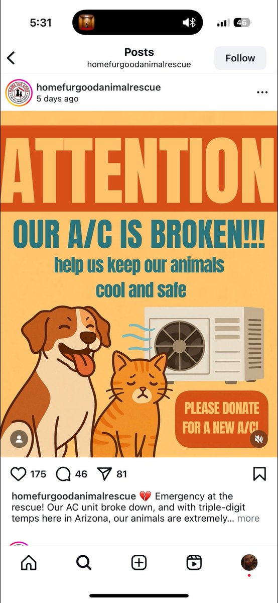 This is the dog rescue that needs help