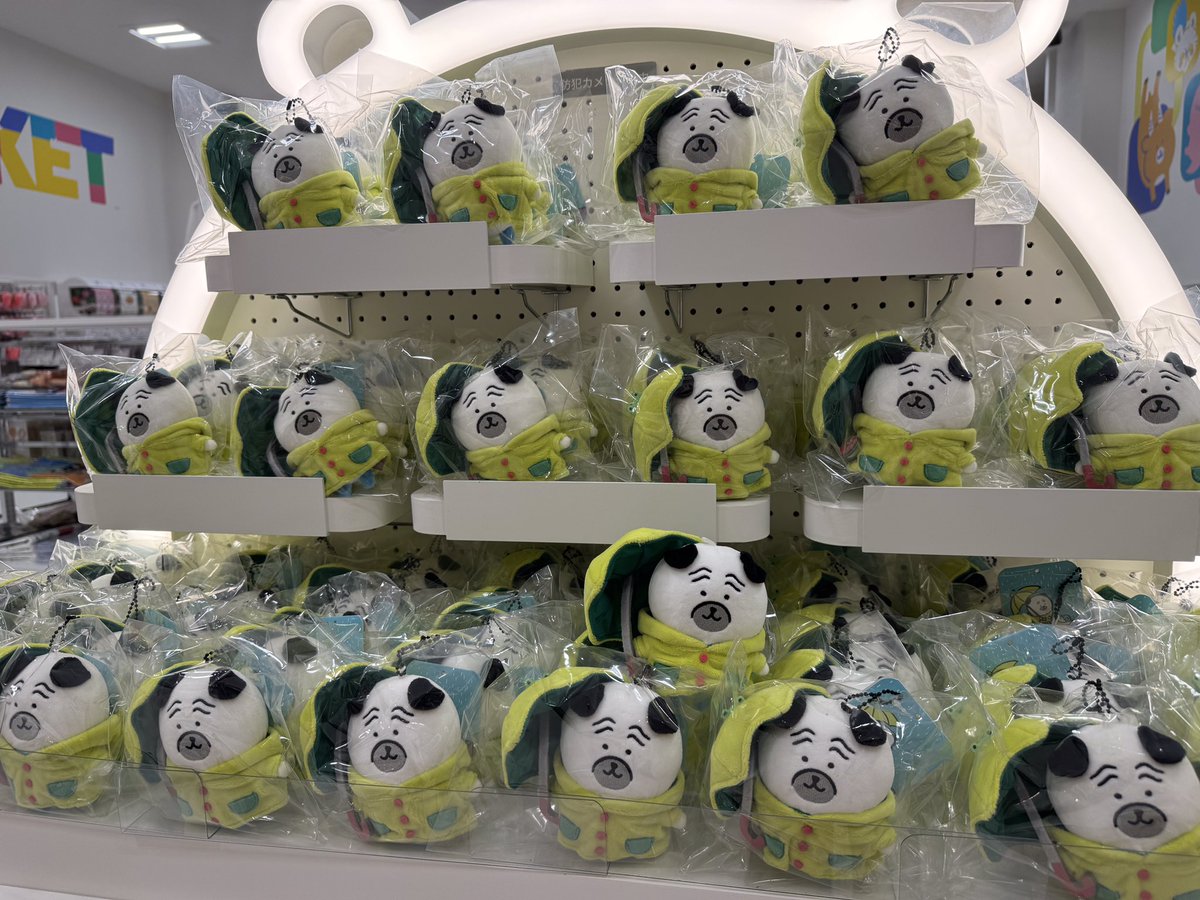 ナガノ 雨だねくま と 雨だねパグ 2点セット ナガノマーケット新商品】6月27日発売！「雨だねマスコット