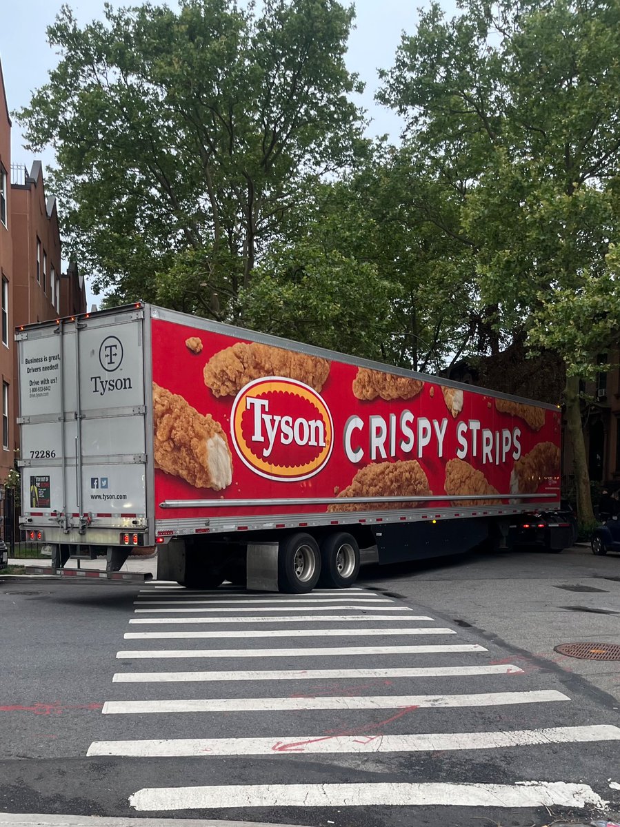 itseieio's tweet image. tyson crispy strips truck Suez Canal Boated my neighborhood today