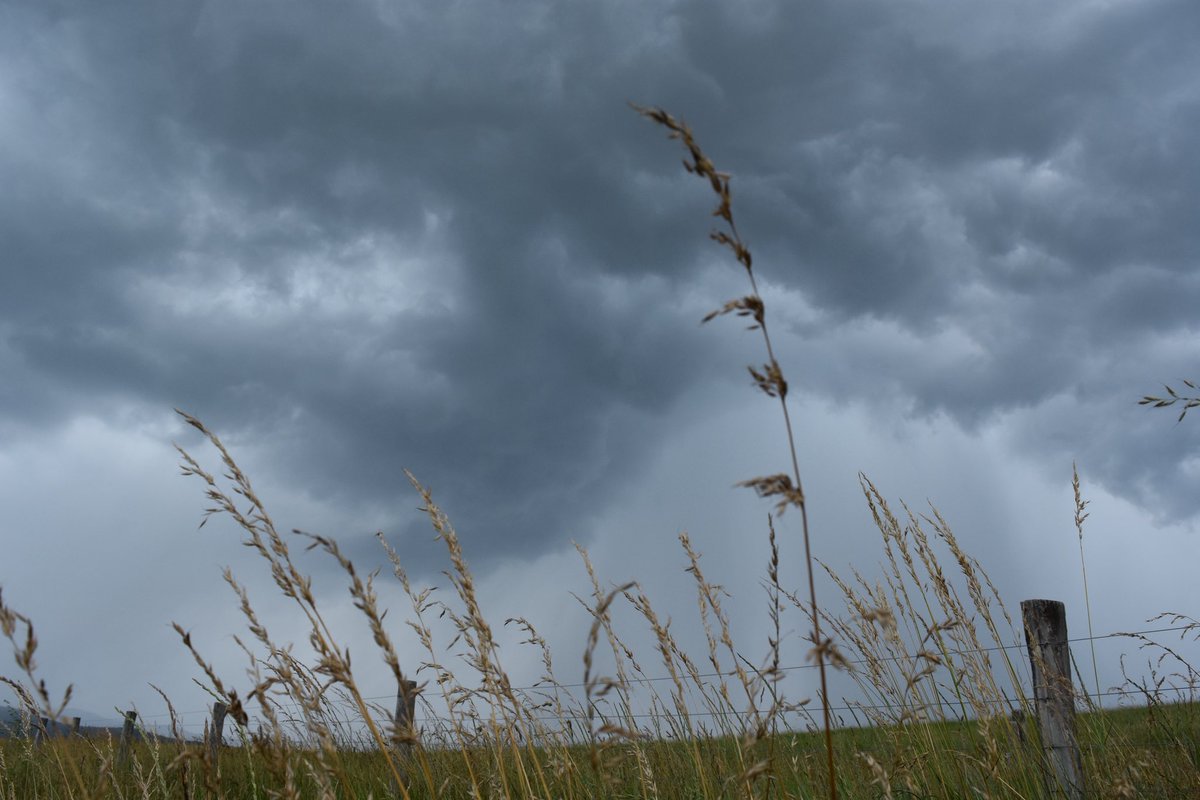 Isabel Rathburn (@imr_wx) on Twitter photo No, this isn’t Kansas..
It’s Swoope, VA. A fun little “chase” today just 10 minutes from home :)
#wxtwitter #vawx <a href="/WeatherAubs/">Aubrey Urbanowicz</a> No, this isn’t Kansas..
It’s Swoope, VA. A fun little “chase” today just 10 minutes from home :)
#wxtwitter #vawx <a href="/WeatherAubs/">Aubrey Urbanowicz</a>