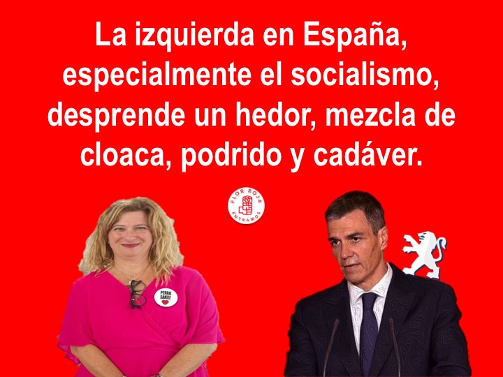 darkete99's tweet photo. @psoe_m @espinar_mar De los corruptos, ladrones y puteros de la izquierda, sale la odiadora mafiosa de Mr Teflón de las cloacas haciendo la gilipollas.
#PsoeOrganizaciónCriminal #PSOE_Mafia https://t.co/4pK8WRqHjg