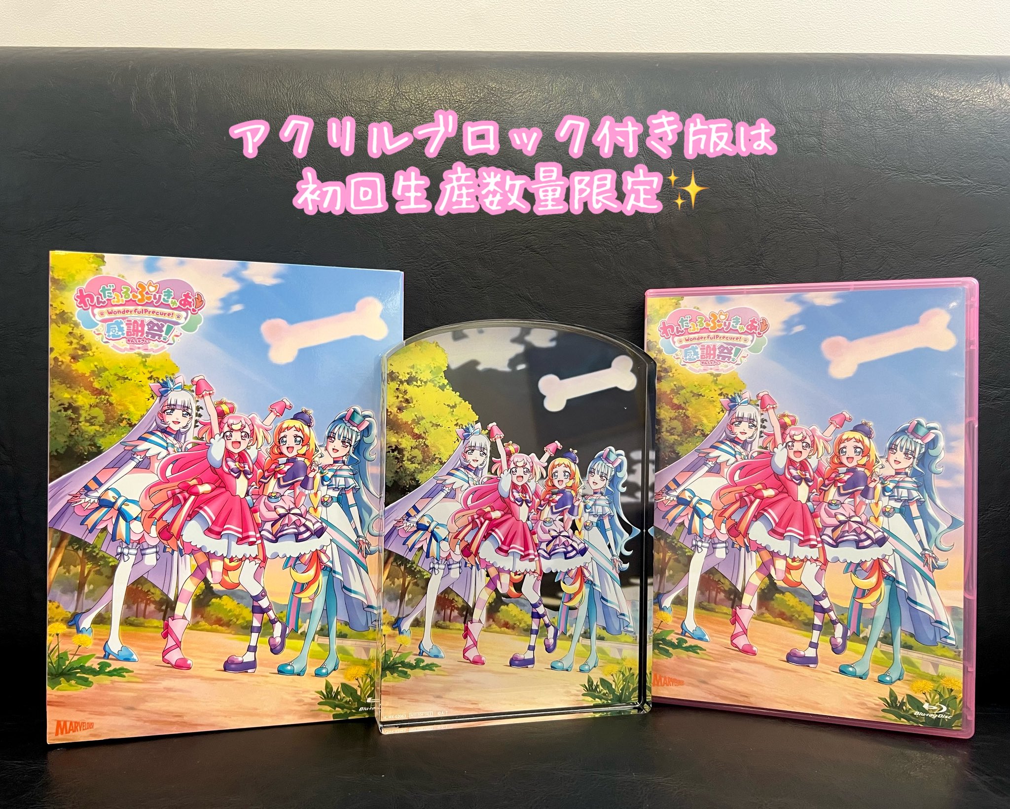 わんだふるぷりきゅあ！ 感謝祭 限定LED光るアートパネル 新品 わんだふるぷりきゅあ！感謝祭 Blu-rayショップ限定特典の一覧