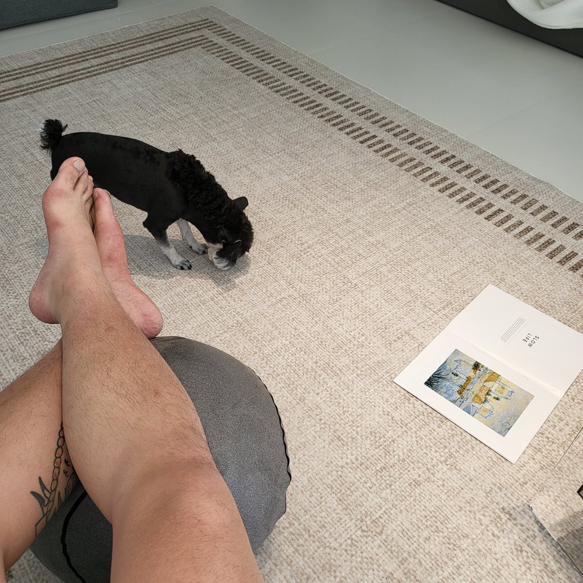 漂流太累了  有来按摩的么  沈阳！