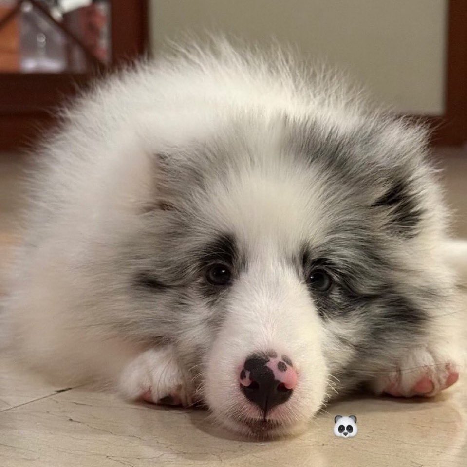 อยากเติม