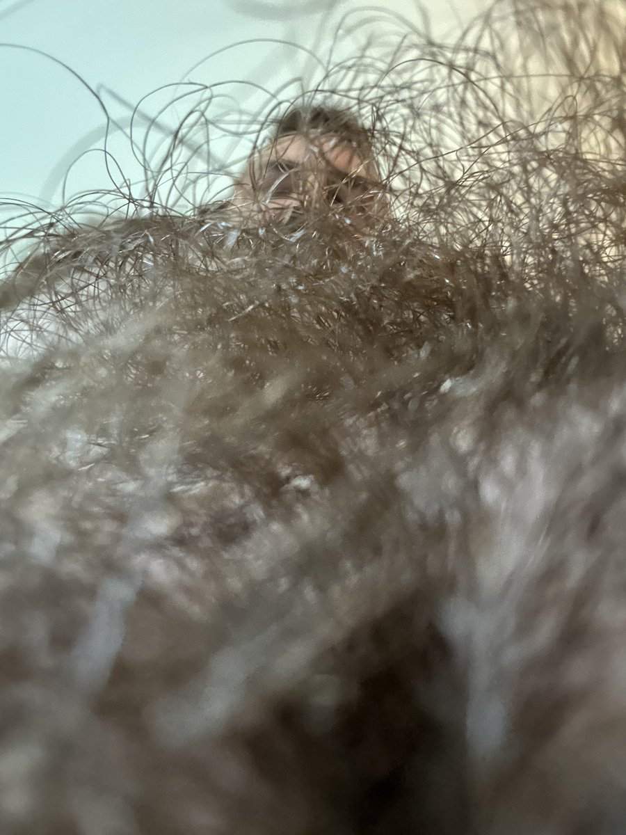 When you get lost down in the musky fur-est, your mind turns to mush and My hands go deep into your wallet. If you could only be so lucky… 😈 

#findom #manscent #muskyman #cashsub #finsub