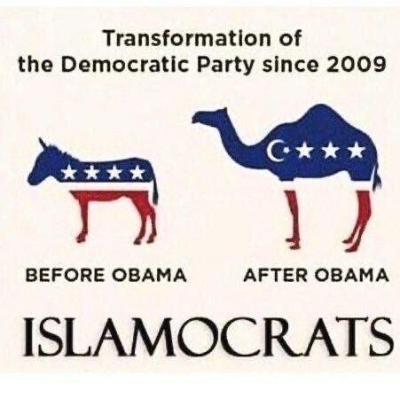 我实在是搞不懂 大家都是为了有更好的生活才移民 干嘛要心心念念的把接收他们的国家变成他们离开的国家😂😂