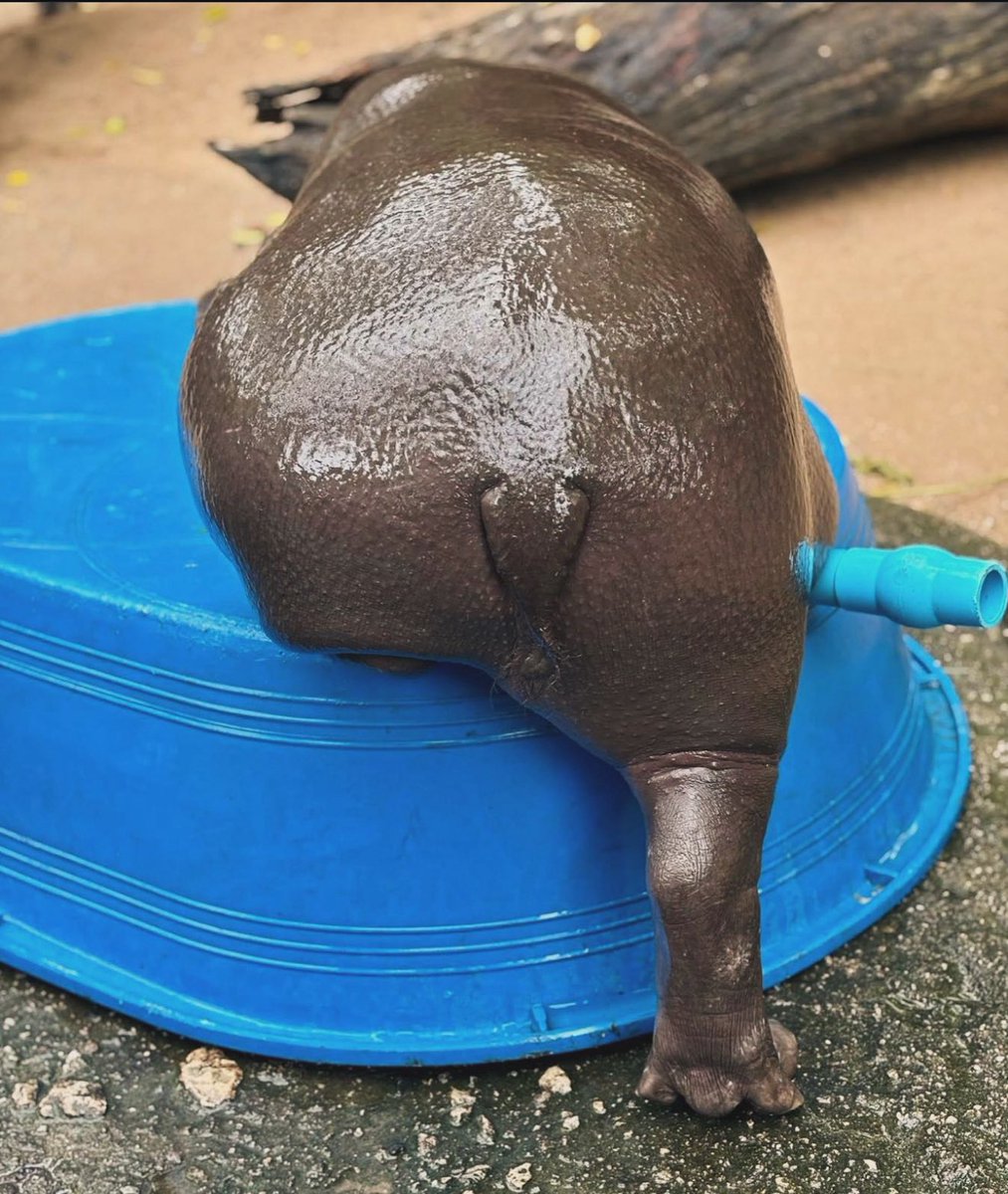 NYC heatwave really had me getting ready for an hour only to commute to the office lookin sweatier than Moo Deng