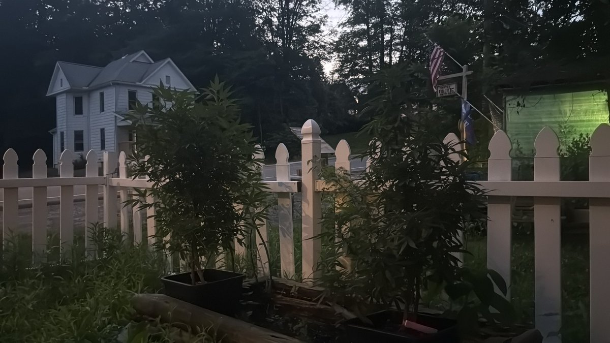 canogreatstuff's tweet image. #maching #music #ラウール誕生祭2025 #AHOF #FayePeraya #wetarded #musicstuff