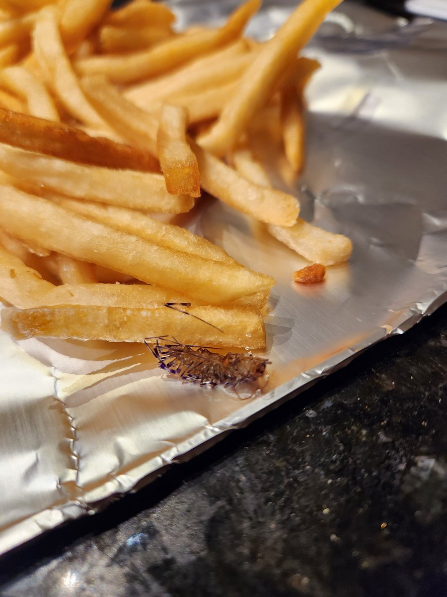 DAYDAYTUPAC's tweet photo. @McDonalds we found a dead bag in our fries. We had to throw the entire meal away. We need a refund or something https://t.co/ExSwyZVgnA