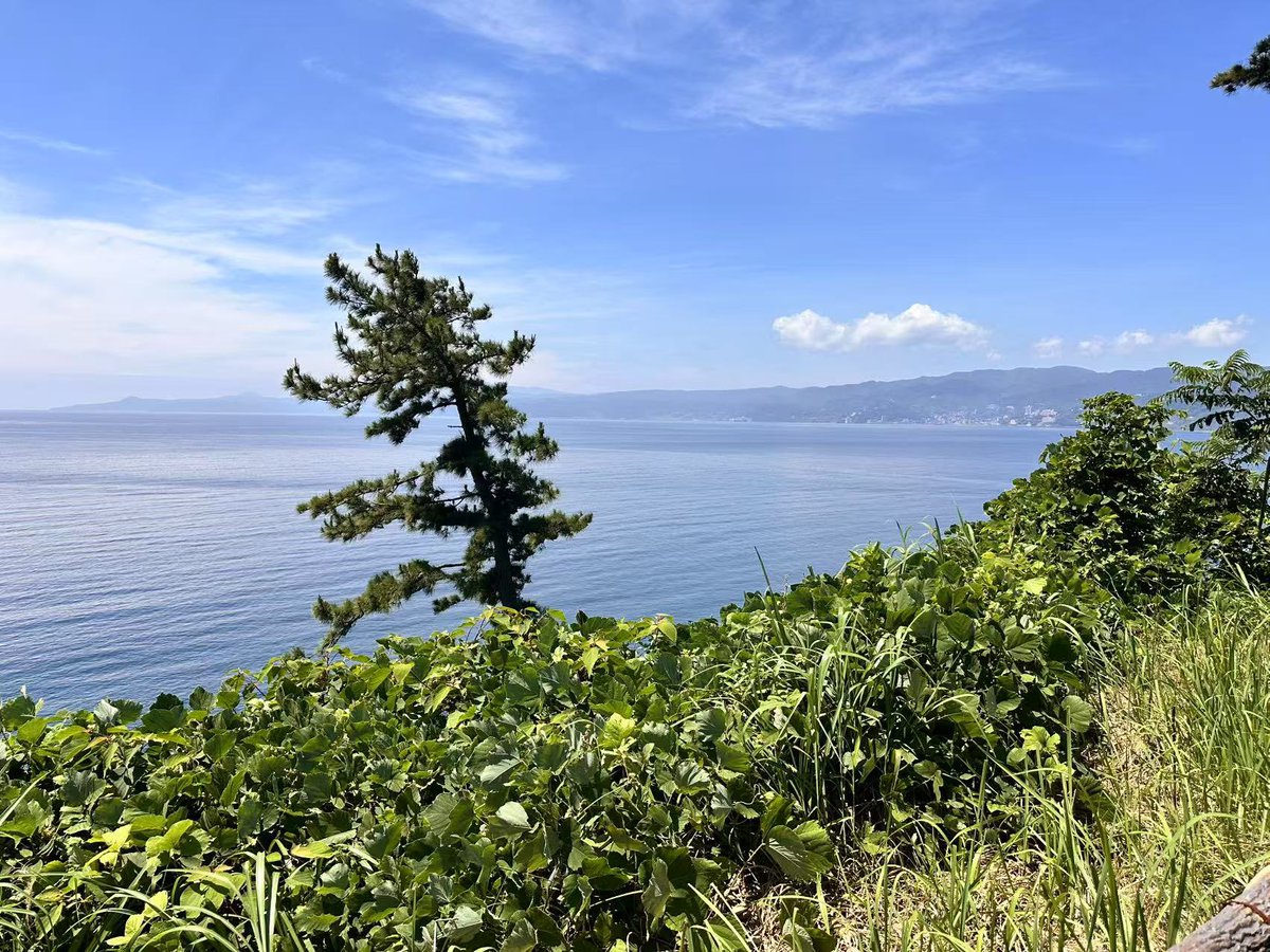 良い天気です！風もなく穏やか。
テラスでビール🍺いかがですか。
駐車場は無料開放してます〜
#ケープ真鶴,#真鶴