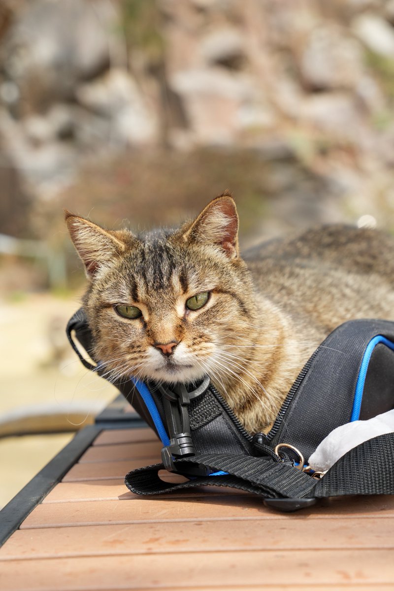 야.. 나와 .. 삼각대 넣어야해.. 🫠