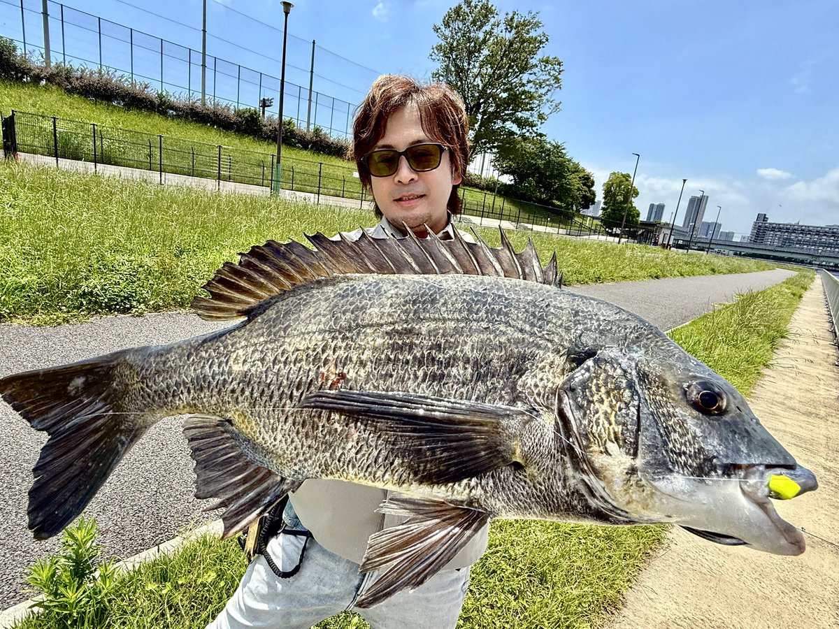 ohnoyuki_tokyo's tweet image. 暑い夏はチヌキューブとガリガリ君🧊
風がないとヤバいけど、
まだ猛暑には程遠いかな。

《CHINU CUBE》
max-jp.com/triad/chinucub…

-PR-
#大野ゆうき #東京湾奥 #tokyobay 
#釣り #fishing 
#クロダイ #チヌ 
#チヌキューブ #chinucube サイズ:S
#落とし込み #落とし込み専用ルアー  #zeque 
#東レ