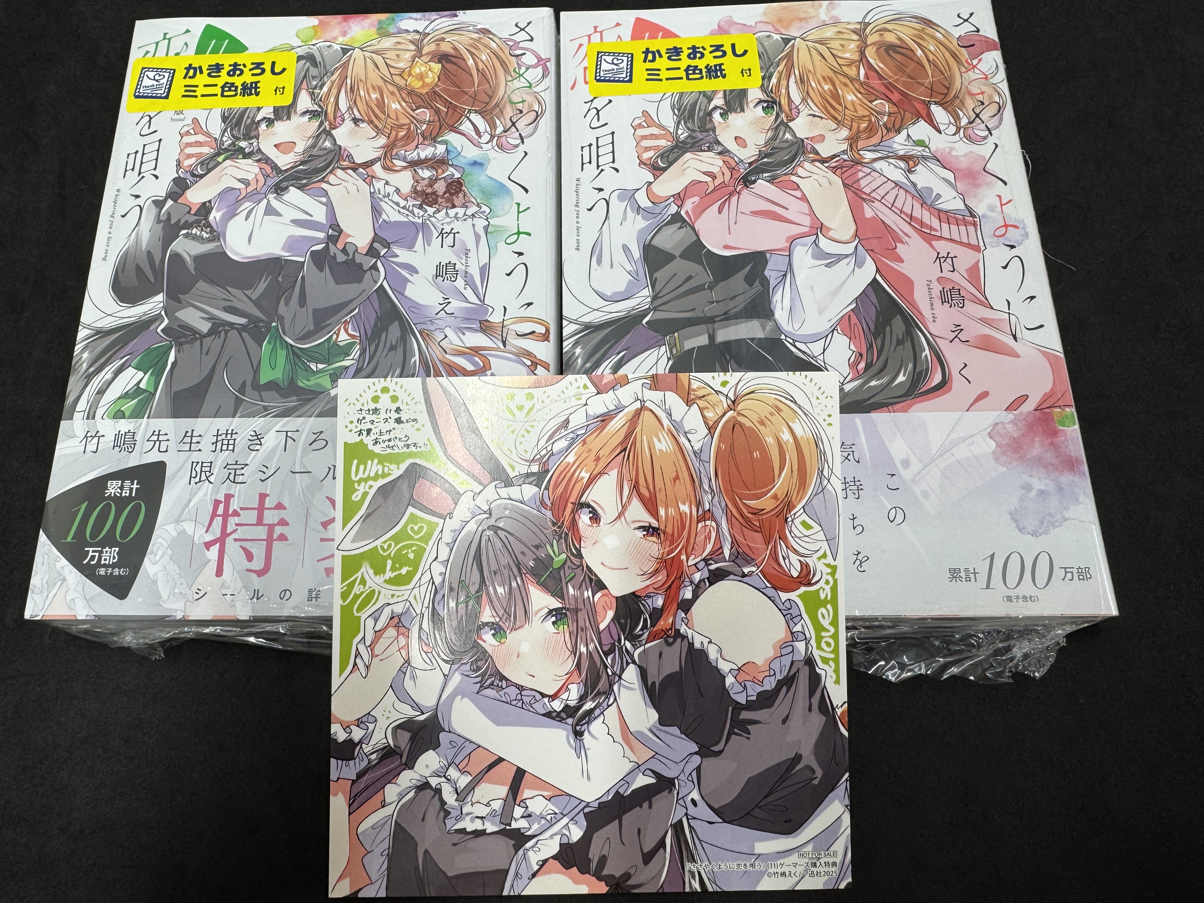 ささやくように恋を唄う11特装版 – חיפוש / X