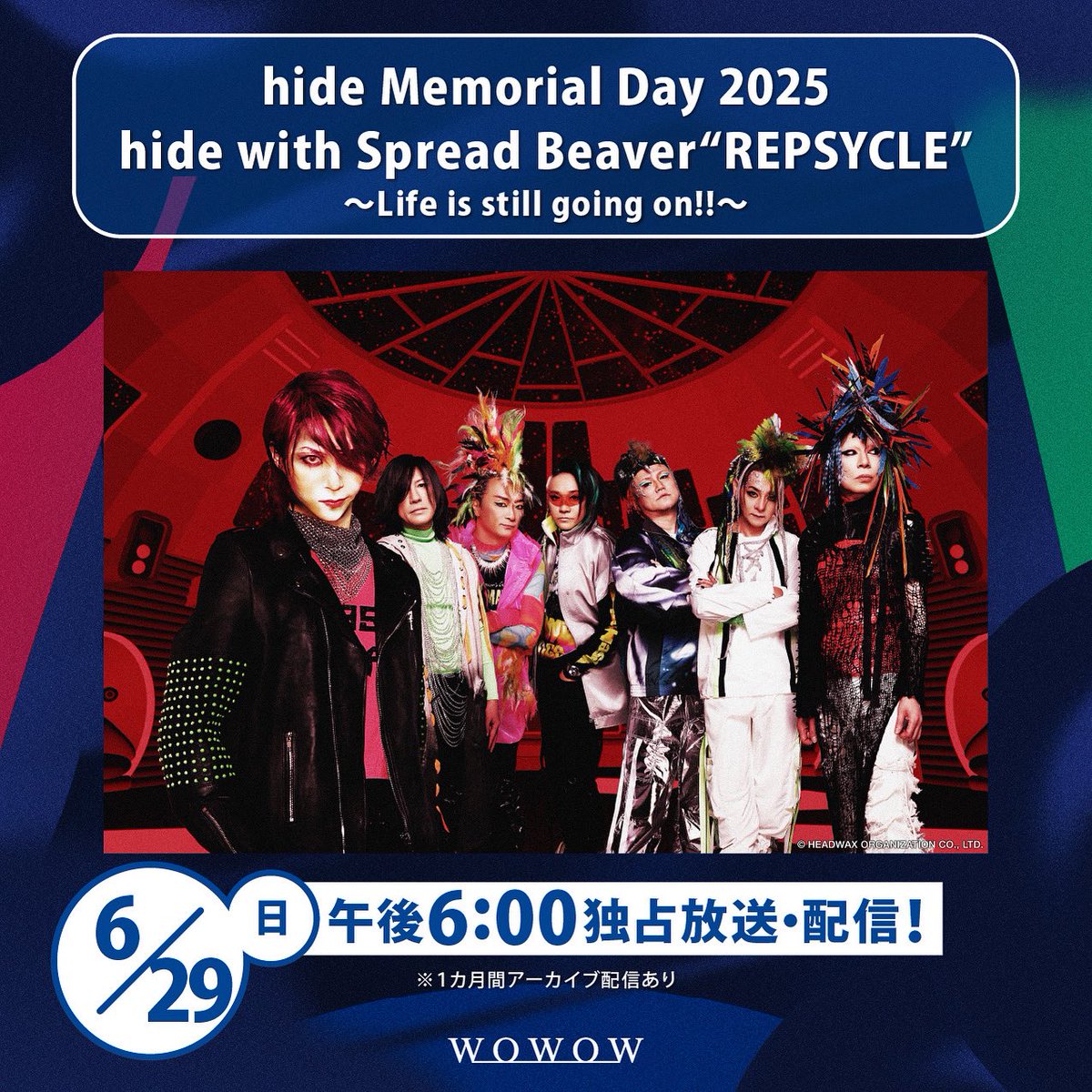 Chirolyn (@Chirolyn_1965) / X Chirolyn (@Chirolyn_1965) / X