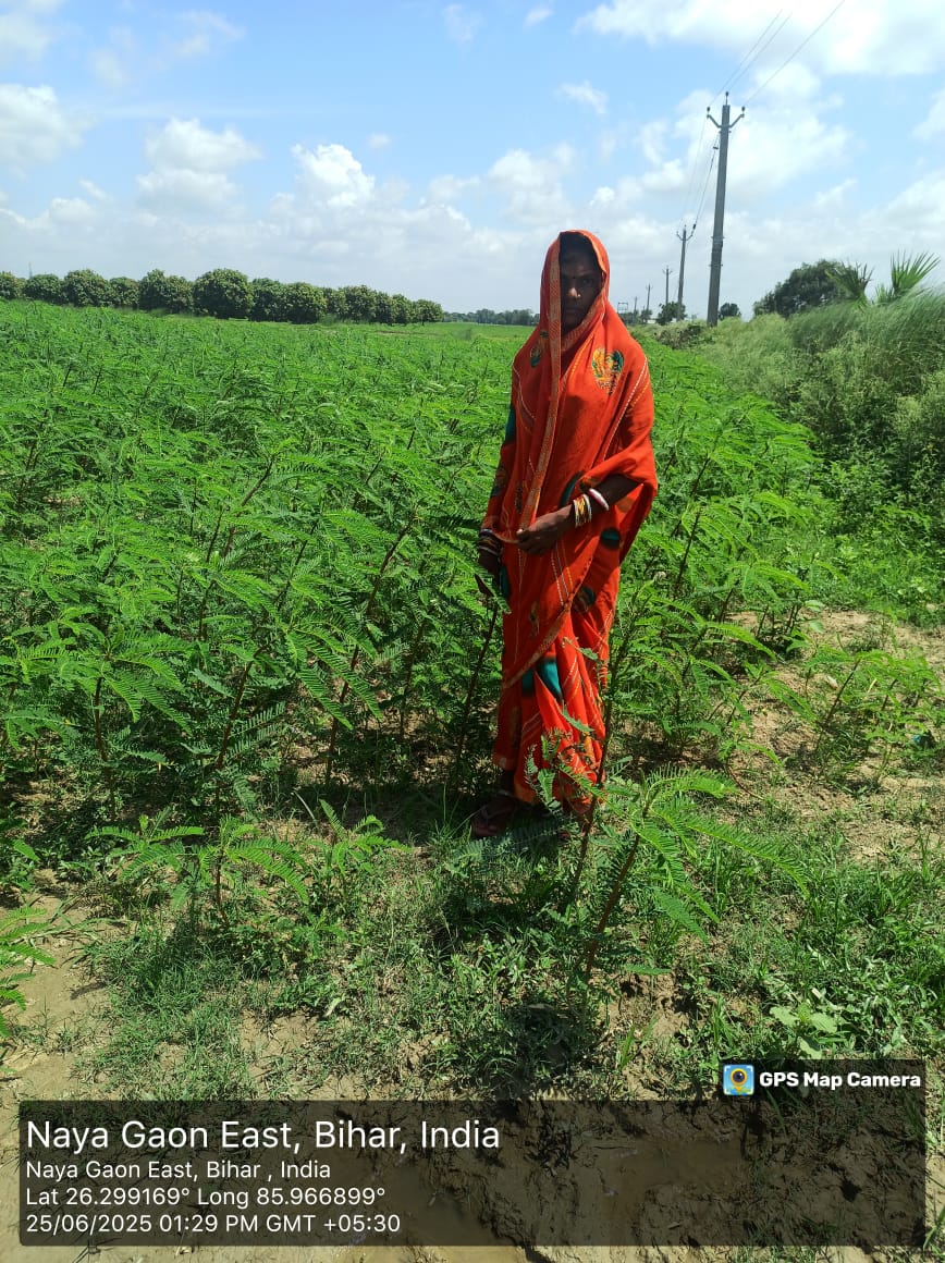 Agriculture Department, Govt. of Bihar (@agribih) on Twitter photo #рджрд░рднрдВрдЧрд╛: рдЦреЗрдд рдореЗрдВ рд╣рд░реА рдЪрд╛рджрд░ред #рдвреИрдЪрд╛ рдорд┐рдЯреНрдЯреА рдХреА рдЙрд░реНрд╡рд░рд╛ рд╢рдХреНрддрд┐ рдмрдврд╝рд╛рдиреЗ рддрдерд╛ рдкреАрдПрдЪ рдорд╛рди рдШрдЯрд╛рдиреЗ рдореЗрдВ рд╕рд╣рд╛рдпрдХ рд╣реЛрддрд╛ рд╣реИред
<a href="/VijayKrSinhaBih/">Vijay Kumar Sinha</a> <a href="/AgriGoI/">Agriculture INDIA</a> <a href="/darbhanga_dm/">DM Darbhanga</a> <a href="/BametiBihar/">Director, BAMETI, Bihar</a> <a href="/Sanatjaip/">Sanat K Jaipuriar</a> <a href="/IPRDBihar/">IPRD Bihar</a>
#Green_Manuring #рджрд░рднрдВрдЧрд╛: рдЦреЗрдд рдореЗрдВ рд╣рд░реА рдЪрд╛рджрд░ред #рдвреИрдЪрд╛ рдорд┐рдЯреНрдЯреА рдХреА рдЙрд░реНрд╡рд░рд╛ рд╢рдХреНрддрд┐ рдмрдврд╝рд╛рдиреЗ рддрдерд╛ рдкреАрдПрдЪ рдорд╛рди рдШрдЯрд╛рдиреЗ рдореЗрдВ рд╕рд╣рд╛рдпрдХ рд╣реЛрддрд╛ рд╣реИред
<a href="/VijayKrSinhaBih/">Vijay Kumar Sinha</a> <a href="/AgriGoI/">Agriculture INDIA</a> <a href="/darbhanga_dm/">DM Darbhanga</a> <a href="/BametiBihar/">Director, BAMETI, Bihar</a> <a href="/Sanatjaip/">Sanat K Jaipuriar</a> <a href="/IPRDBihar/">IPRD Bihar</a>
#Green_Manuring